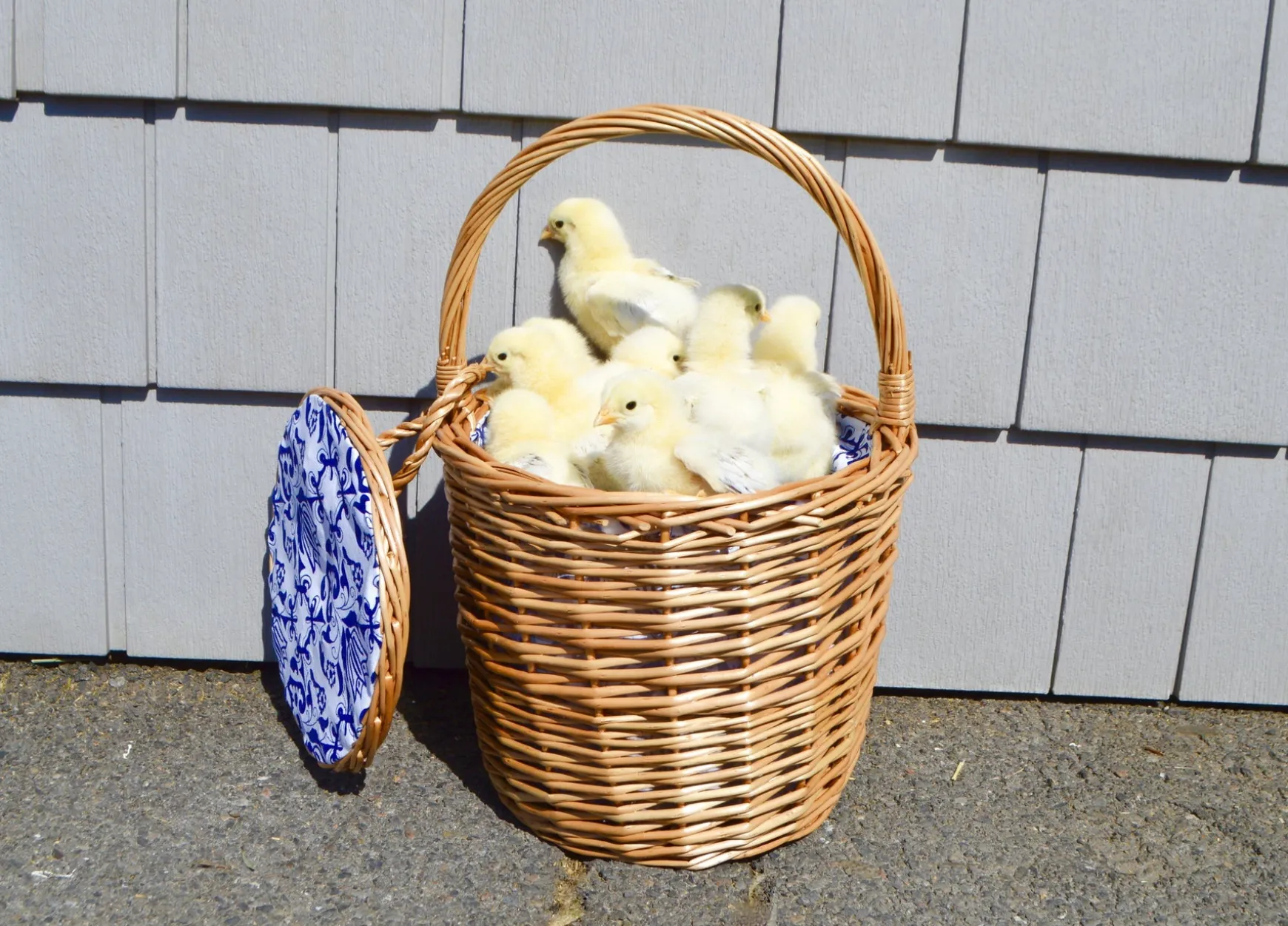 Honey Wicker Basket