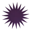 Purple Stella Placemat